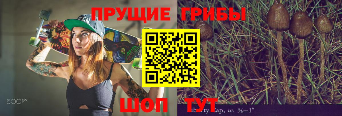 Галлюциногенные грибы мухоморы Кирово-Чепецк