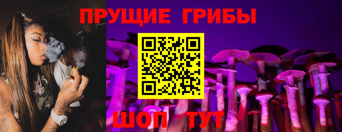 где продают наркотики  Галлюциногенные грибы мухоморы  Кирово-Чепецк  Вход с VPN  Галлюциногенные грибы Cubensis 